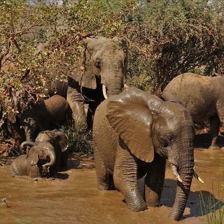 Lions Place Grietjie Game Reserve Bagian luar foto