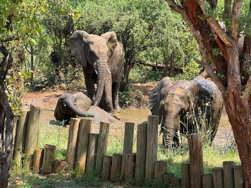 Lions Place Grietjie Game Reserve Bagian luar foto