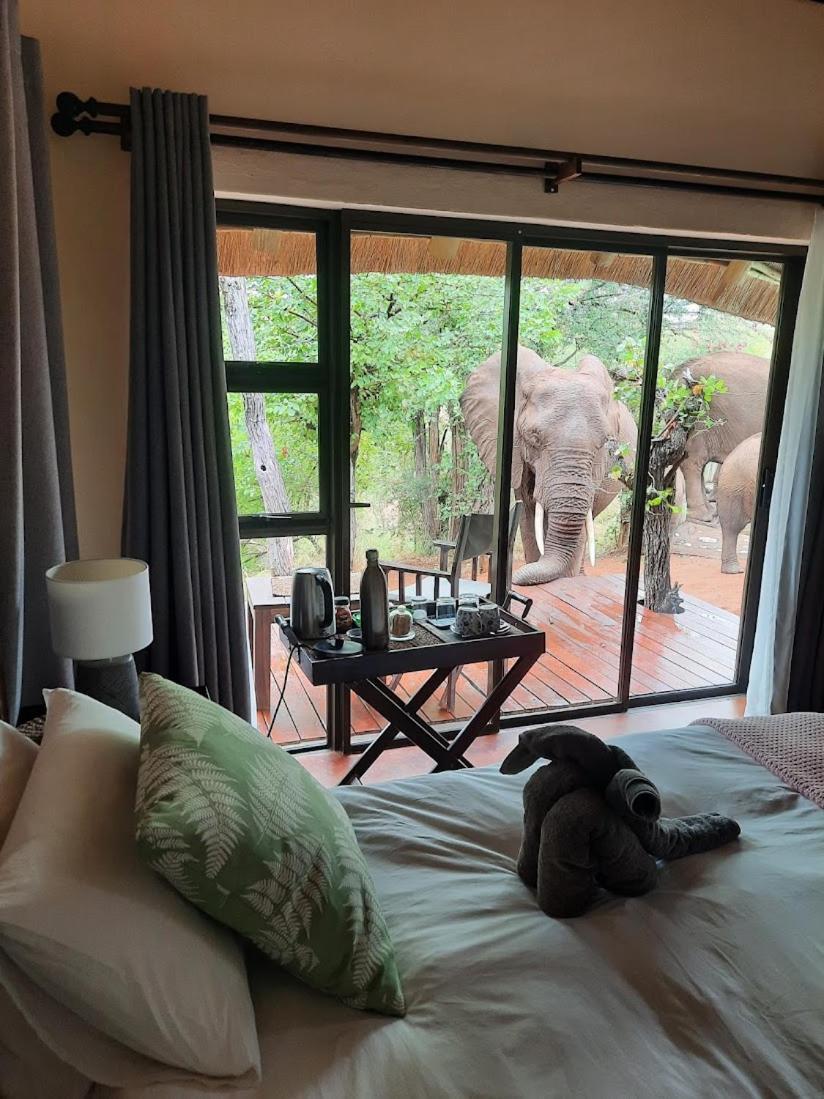 Lions Place Grietjie Game Reserve Bagian luar foto