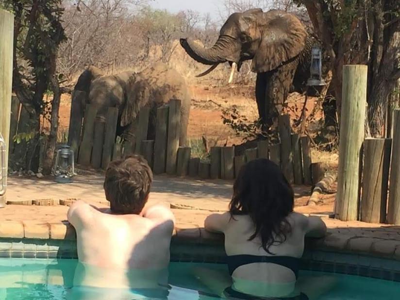 Lions Place Grietjie Game Reserve Bagian luar foto