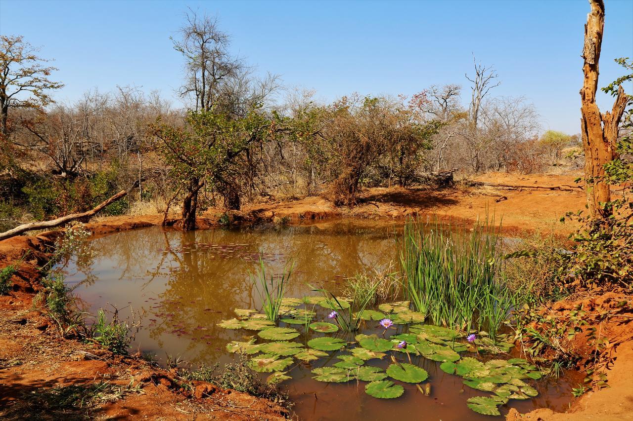 Lions Place Grietjie Game Reserve Bagian luar foto