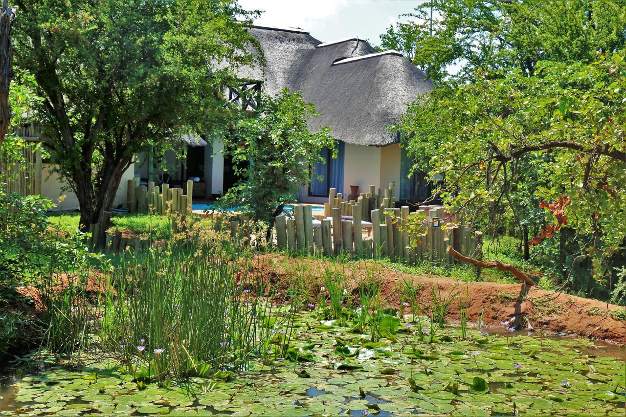 Lions Place Grietjie Game Reserve Bagian luar foto