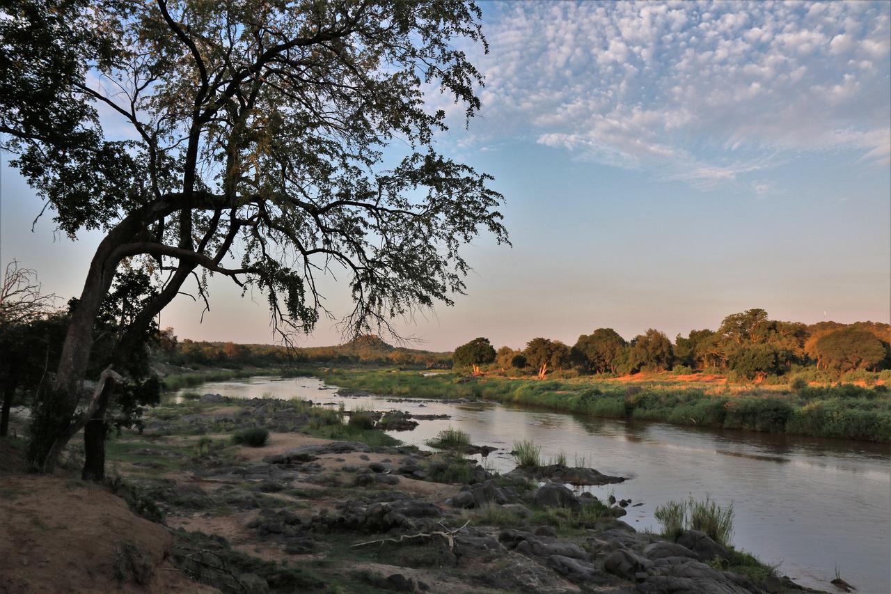 Lions Place Grietjie Game Reserve Bagian luar foto